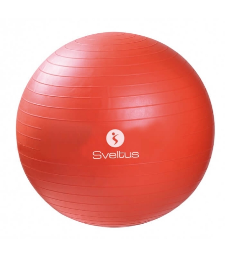 Billede af Fitness bold - Ø55 Sveltus